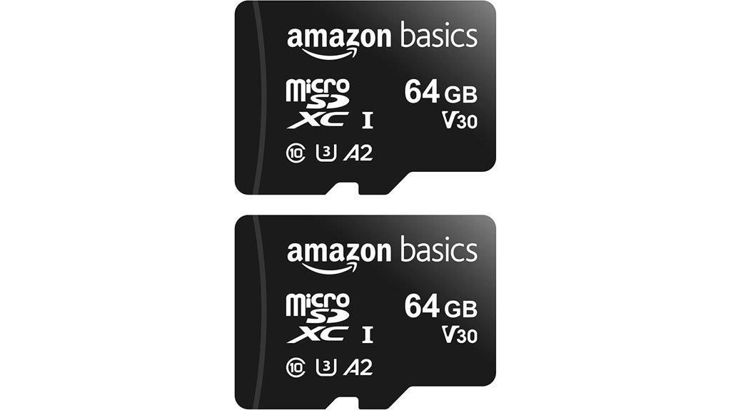 amazon basics 2 pack memory cards