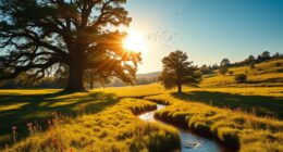 divine reign and spiritual sovereignty
