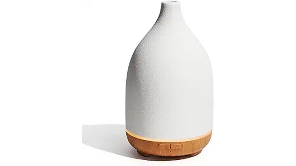 innogear 150ml ceramic diffuser