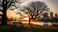 rest amidst constant activity