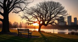 rest amidst constant activity