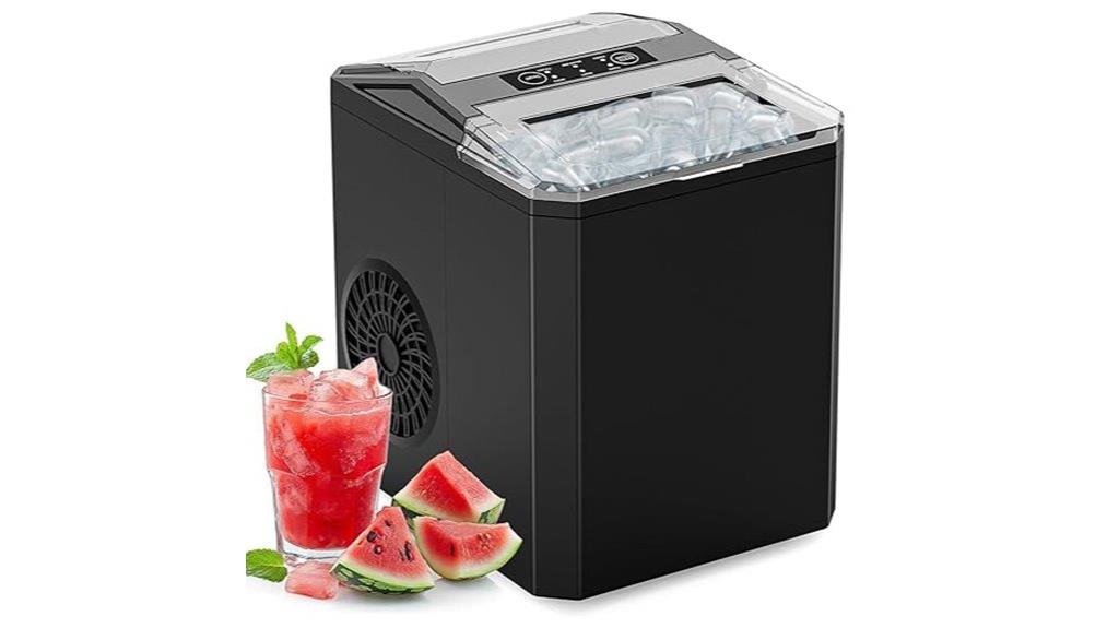 self cleaning countertop ice maker