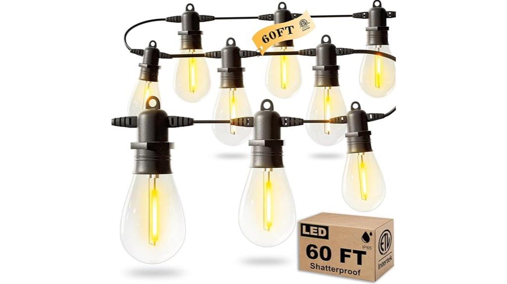sixty foot edison bulb string