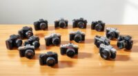 top affordable professional cameras