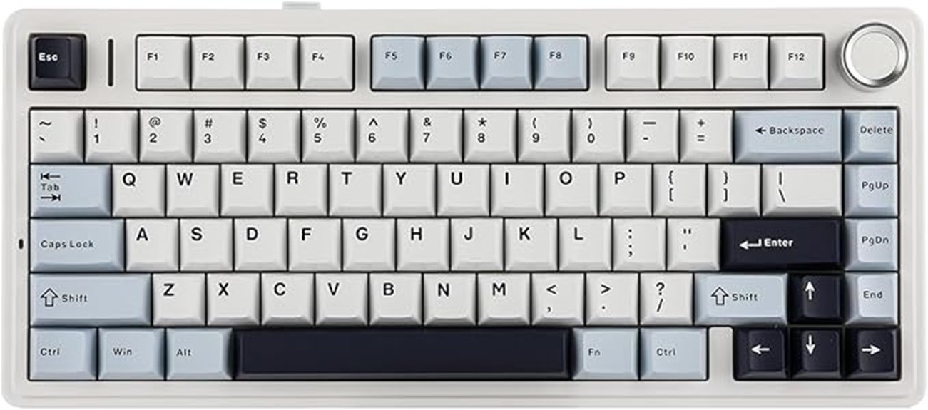 wireless rgb gasket keyboard