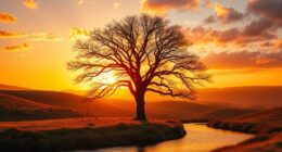 god s unconditional loving embrace