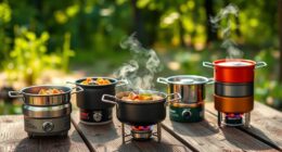 top 15 portable camping stoves