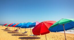 top storm resistant beach umbrellas