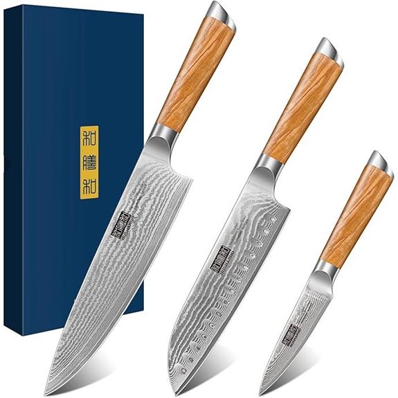HOSHANHO Damascus Kitchen Knife Set (3 pieces)