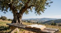 defining jesus true identity