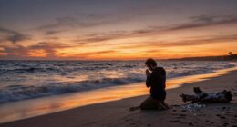 guidance and trust in uncertainty