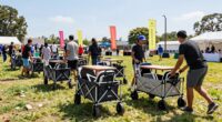 portable easy to transport wagons