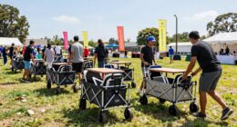 portable easy to transport wagons
