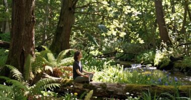 remaining connected amidst distractions