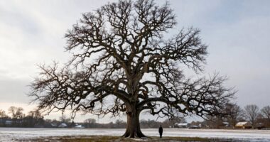 remaining faithful during routine