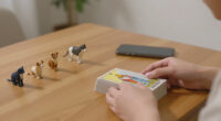 South Koreans Turn To Tarot To Glean Their Pets' Thoughts
