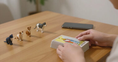 South Koreans Turn To Tarot To Glean Their Pets' Thoughts